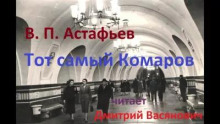 Тот самый Комаров